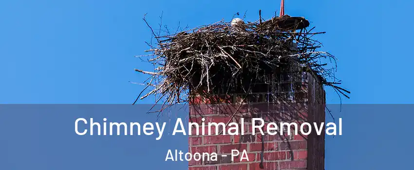 Chimney Animal Removal Altoona - PA