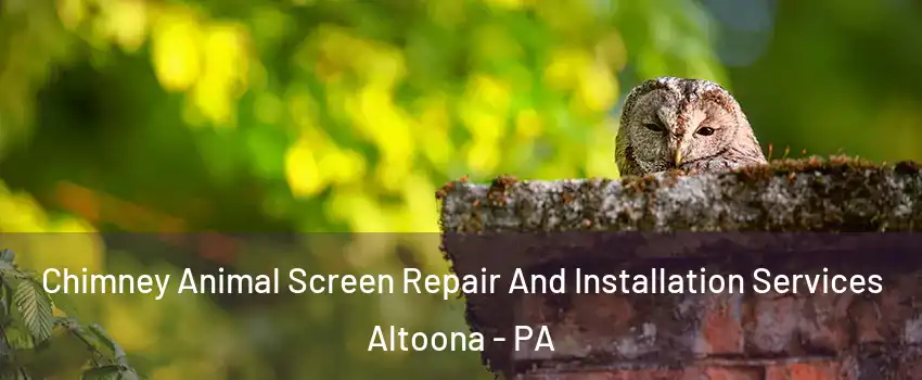  Chimney Animal Screen Repair And Installation Services Altoona - PA