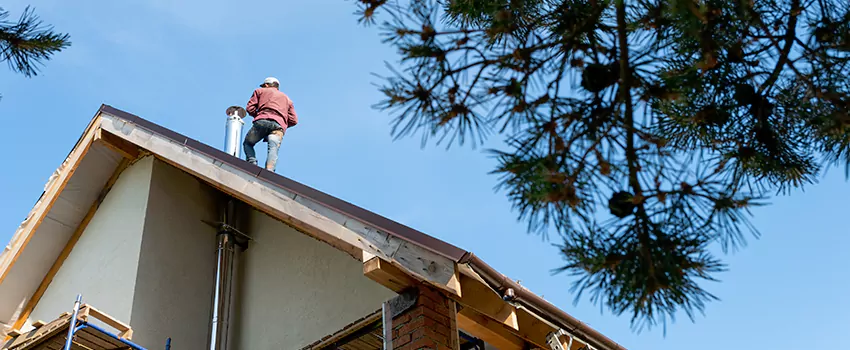 Birds Removal Contractors from Chimney in Altoona, PA